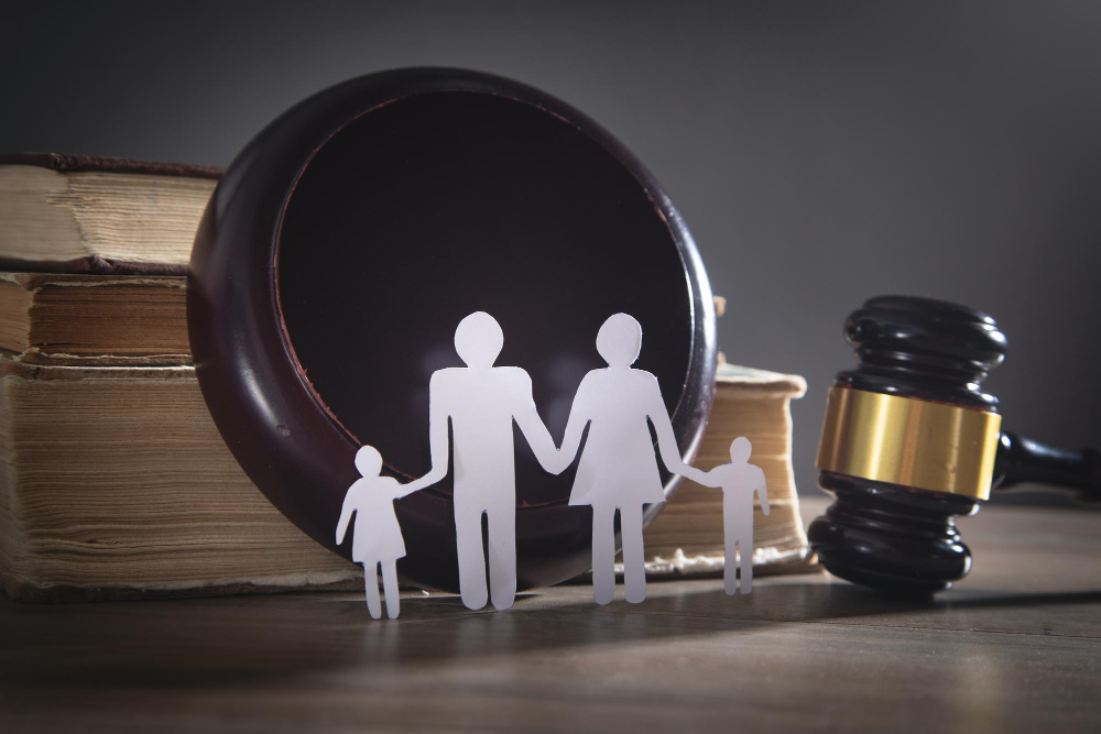 An Overview of Procedural Fairness in Family Law