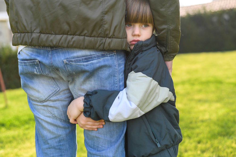 Navigating the Complex Path of Custodial Visitation Rights