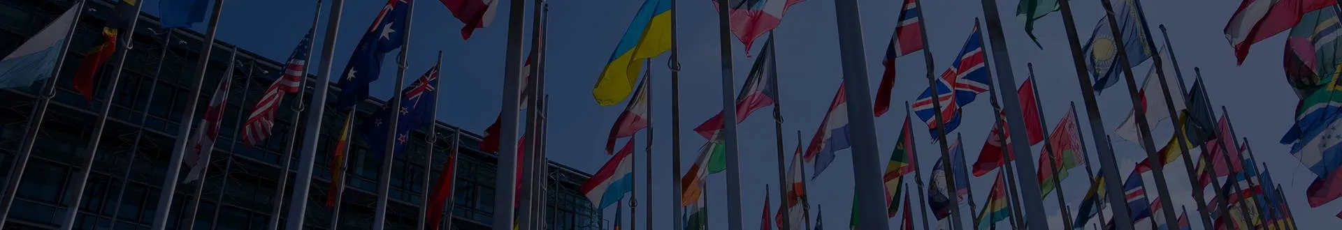 Flags of many nations flying outside an international building